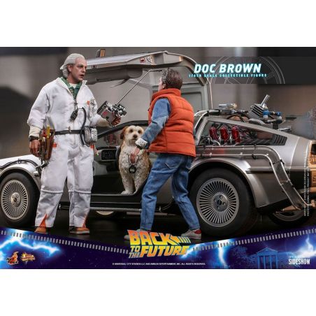 Hot Toys - Delorean Retour Vers le Futur 2 1/6 - BTTF2