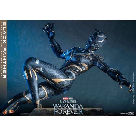 Preorder ! Hot toys MMS675 Black Panther Wakanda Forever : Black