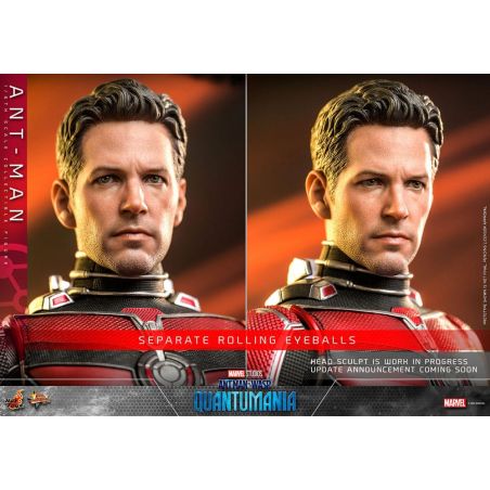 Ant-Man Movie Masterpiece MMS690 | Hot Toys | Ant-Man and the Wasp -  Quantumania