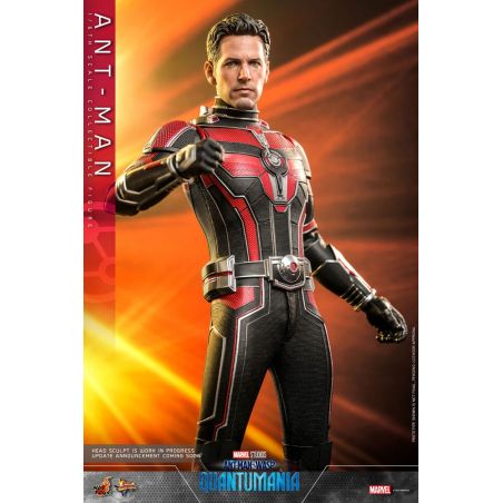 Ant-Man Movie Masterpiece MMS690 | Hot Toys | Ant-Man and the Wasp -  Quantumania