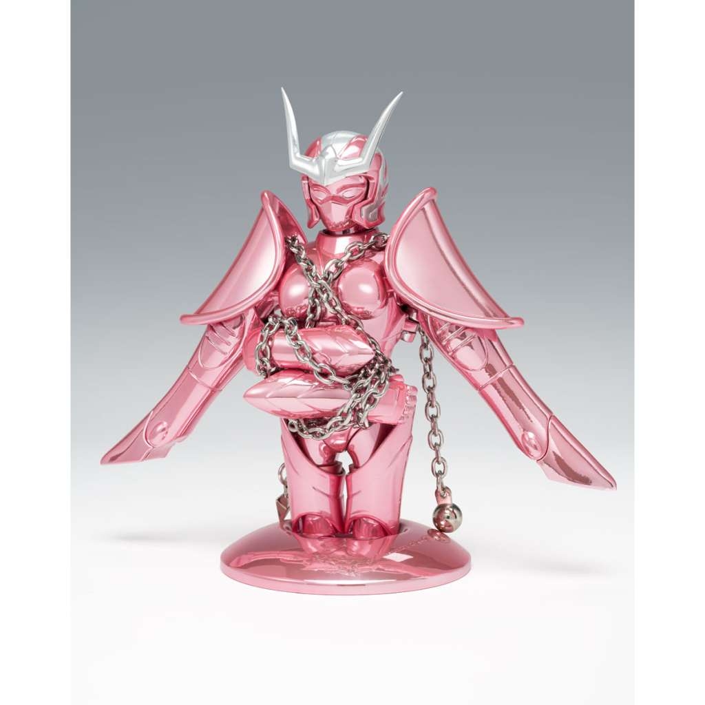 Andromeda Shun Initial Bronze Cloth Bandai Saint Cloth Myth figure