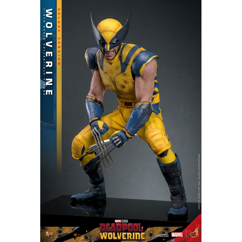 Wolverine Hot Toys MMS754 Movie Masterpiece deluxe figurine 1/6