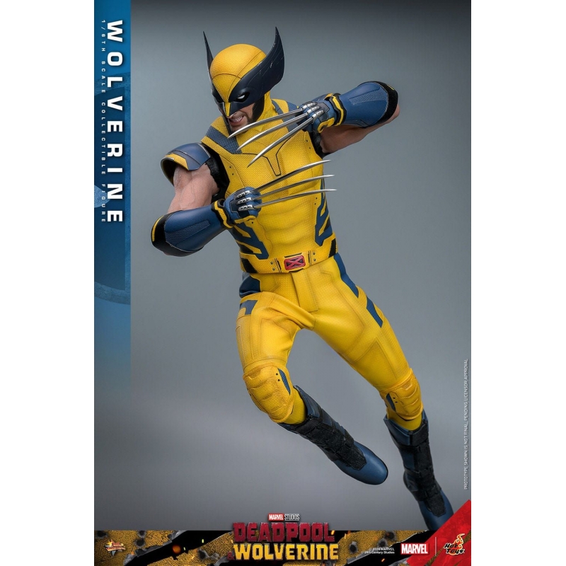 Wolverine Hot Toys Movie Masterpiece collector figure 1/6