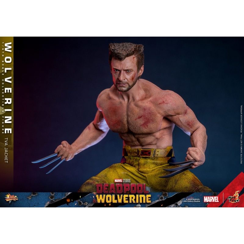 Wolverine TVA Jacket Hot Toys MMS756 : Deadpool And Wolverine Figure