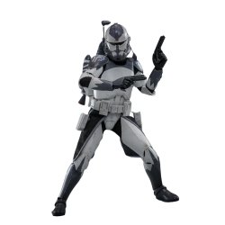 Looking for an Hot Toys collectible figure